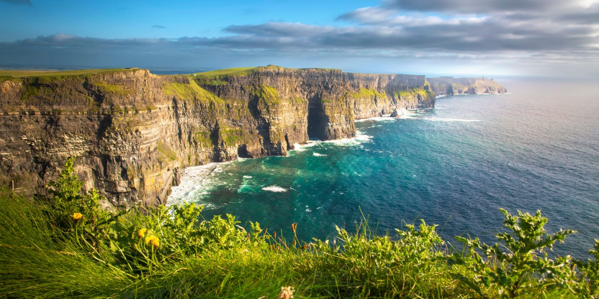 Americana Collection